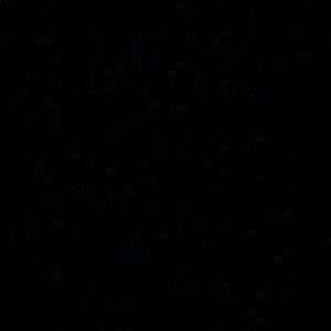 Meet your Posher, Wesley